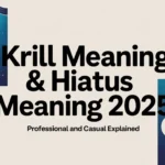 Krill Meaning & Hiatus Meaning โ Professional and Casual Explained